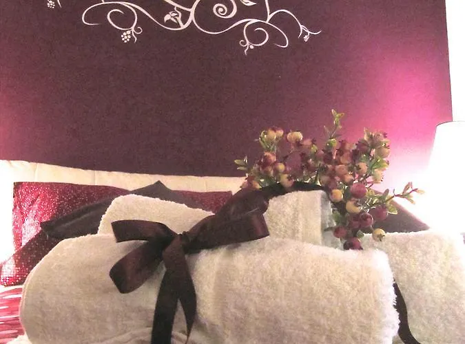 住宿加早餐酒店 Symposium